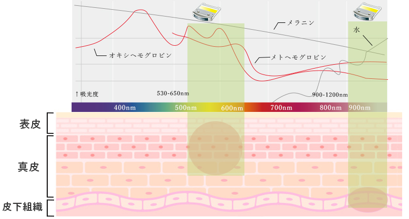 血管病変（赤み）にも作用して更なる美白肌