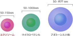 エクソソームの定義