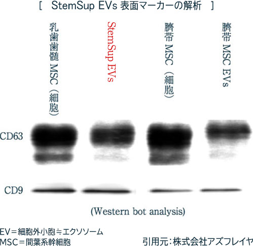 エクソソームの証「表面マーカーCD9/CD63」が認められたステムサップ