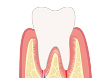 歯髄幹細胞由来培養上清液（StemSup-DP）