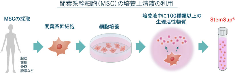 「エクソソーム」を豊富に含んだ幹細胞培養上清液「ステムサップ」