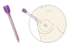 STEP8