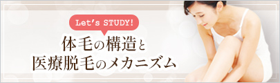 Let’s STUDY!体毛の構造と医療脱毛のメカニズム