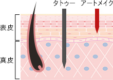 タトゥーとアートメイクの違いは？