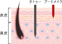 タトゥーとアートメイクの違いは？