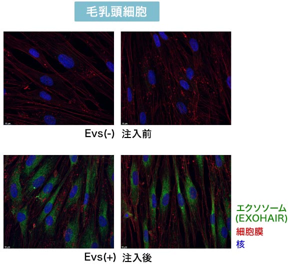 浸透実験結果