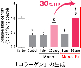 「コラーゲン」の生成