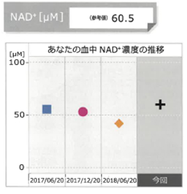 NAD⁺テストのレポート例