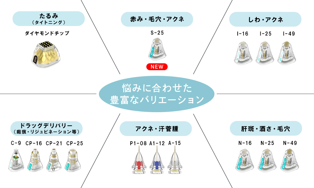 豊富なバリエーションのチップ