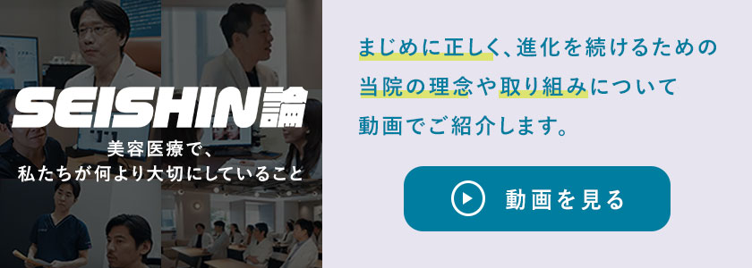 SEISHIN論