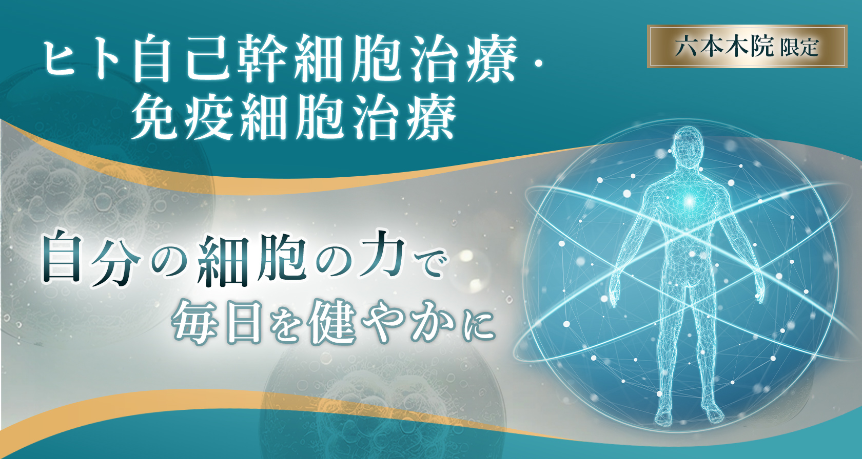 ヒト自己幹細胞治療/免疫細胞治療