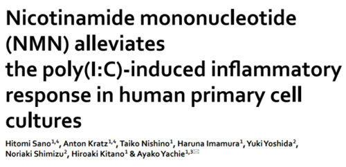 ヒト臨床研究で示された効果と安全性