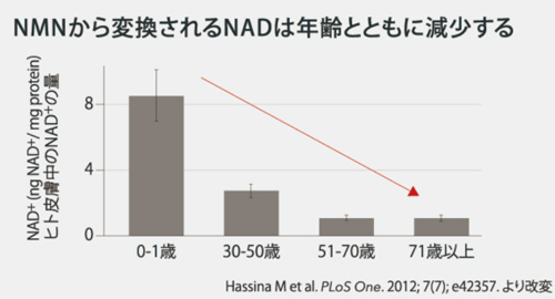 なぜ老化は進むのか?