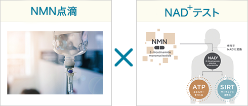 NMN点滴×NAD⁺テスト