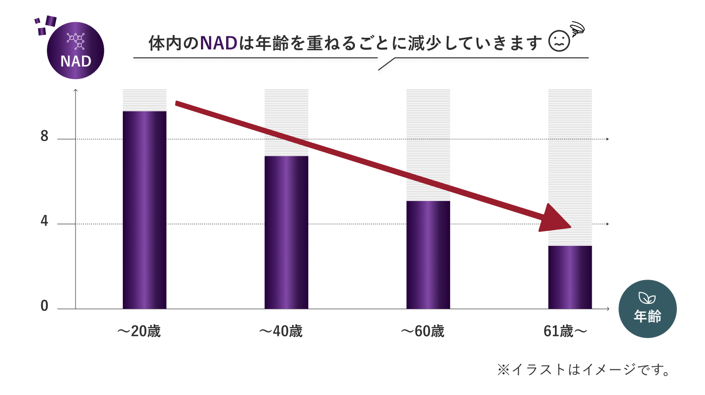 NADは年齢とともに減少します