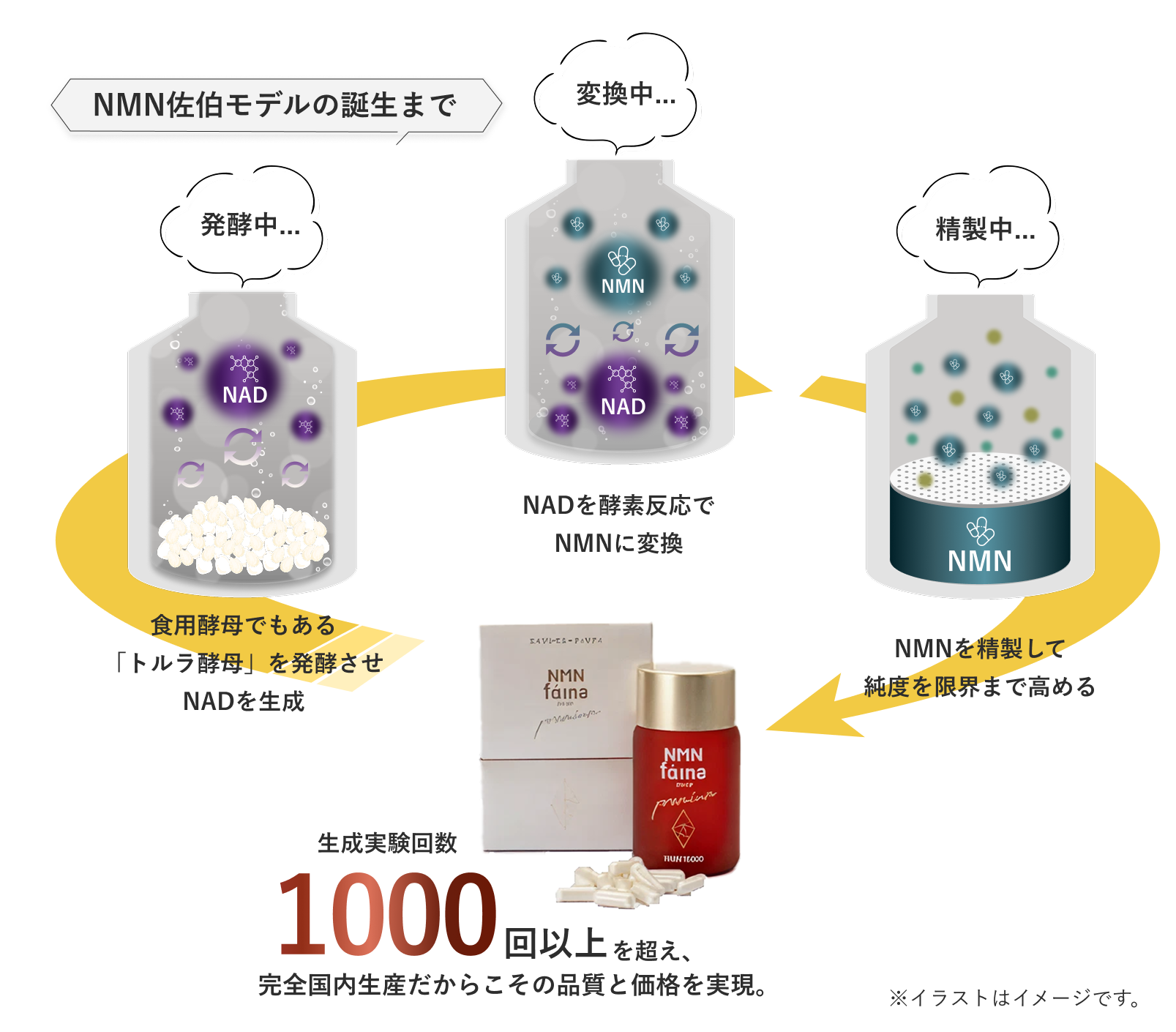 原料からすべて国内生産のため安心して選べる