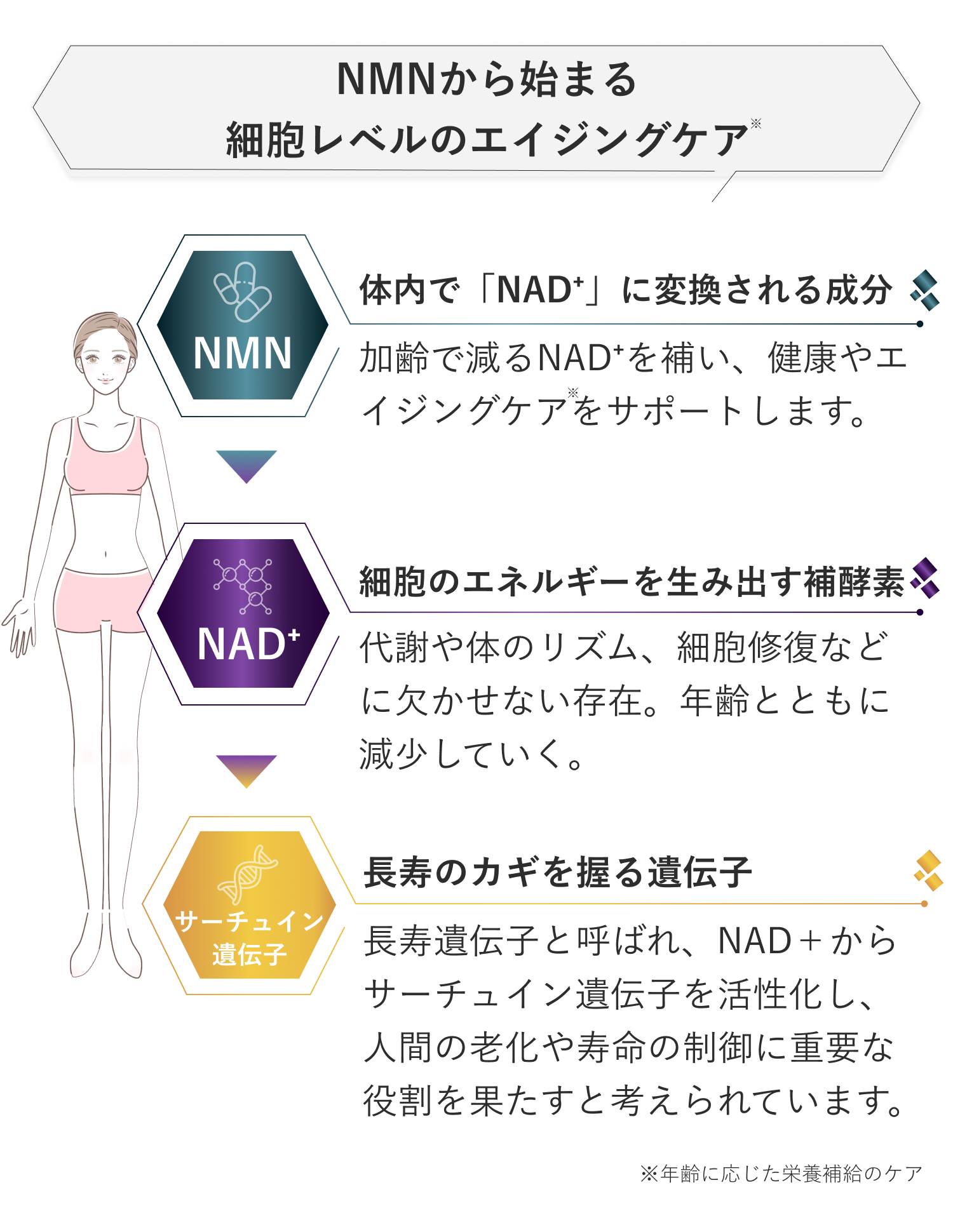 NMNから始まる細胞レベルのエイジングケア