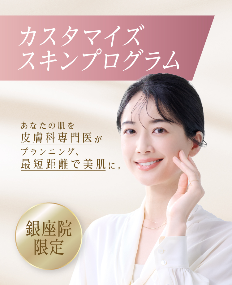 カスタマイズスキンプログラム