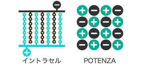 図：イントラセルとPOTENZAの電極