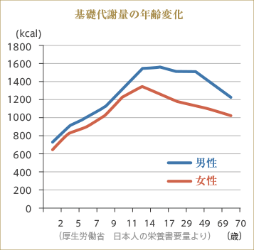 グラフ：基礎代謝両の年齢変化　厚生労働省 日本人の栄養書要量より