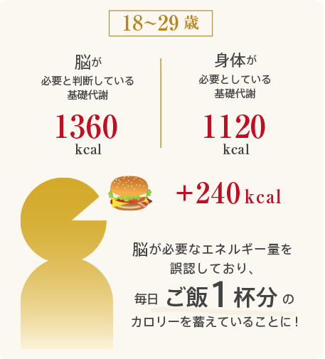 【18～29歳】脳が必要なエネルギー量を誤認しており、毎日ご飯1配分のカロリーを蓄えていることに！