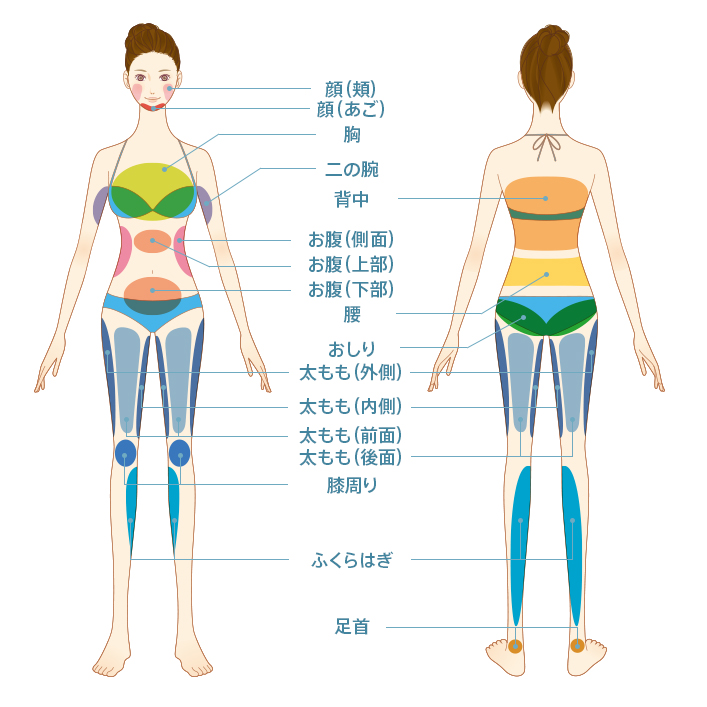 脂肪吸引が可能な部位：顔（頬）、顔（あご）、胸、二の腕、背中、お腹（側面）、お腹（上部）、お腹（下部）、腰、おしり、太もも（外側）、太もも（内側）太もも（前面）、太もも（後面）、膝周り、ふくらはぎ、足首