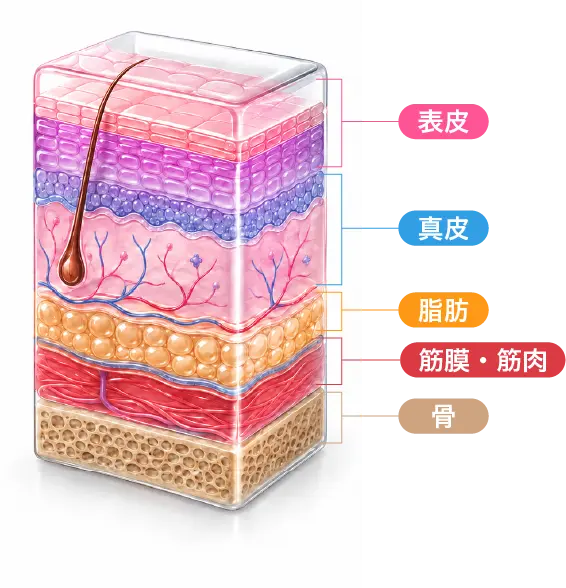 層別オススメ治療イメージ