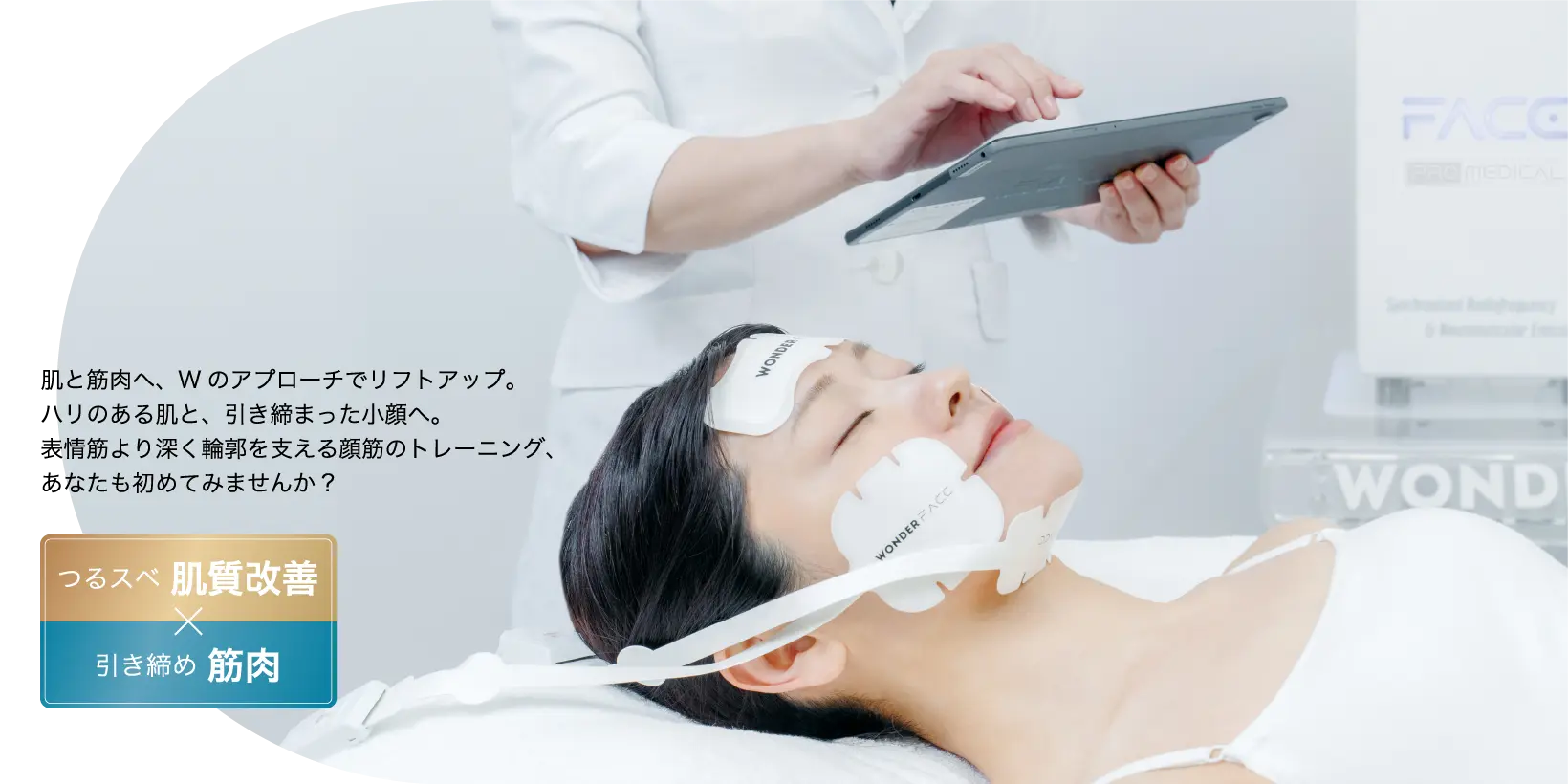 ワンダーフェイスプロ