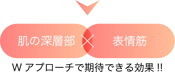”肌の深層部”✕”表情筋”へのWアプローチ期待できる効果