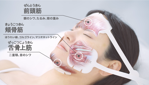 同時に3箇所の筋肉にアプローチ