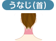 うなじ（首）（※生え際は含まず）