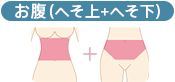 お腹（へそ上+へそ下）