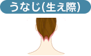 うなじ（生え際）（※生え際から1cm程度）