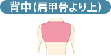 背中（肩甲骨より上）