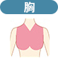 胸
