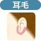 耳毛（※耳穴、耳の産毛は含まず）