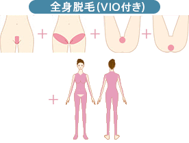 全身（※首から上（うなじ、顔全体の範囲）は含まず）