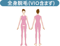 全身（※首から上（うなじ、顔全体の範囲）は含まず）