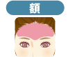 額（※眉周り、額の生え際は含まず）
