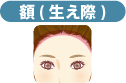 額（生え際）（※生え際から1cm程度）