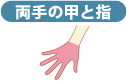 両手の甲と指