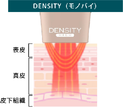 DENSITY（デンシティ）
