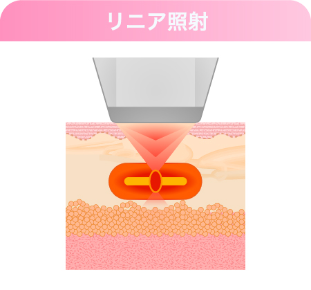 【美白美肌&小顔効果】効果のメカニズム