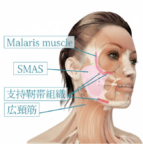 DENSITY（デンシティ）