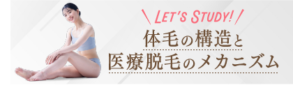 Let’s STUDY!体毛の構造と医療脱毛のメカニズム
