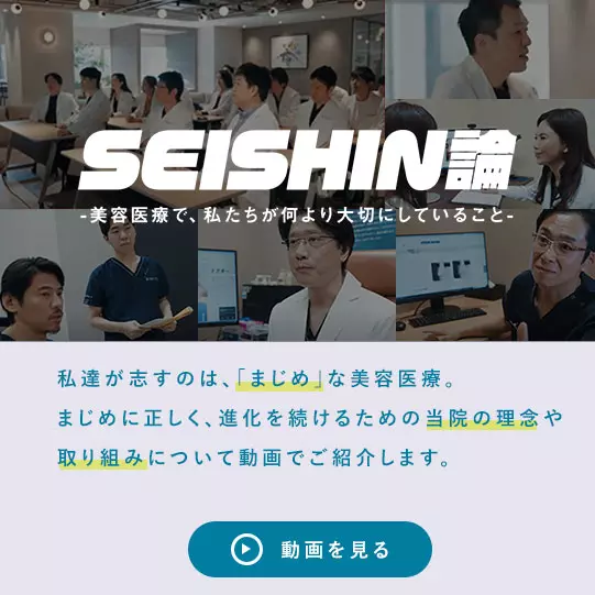SEISHIN論