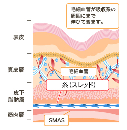 「層（レイヤー）」への正確なアプローチ