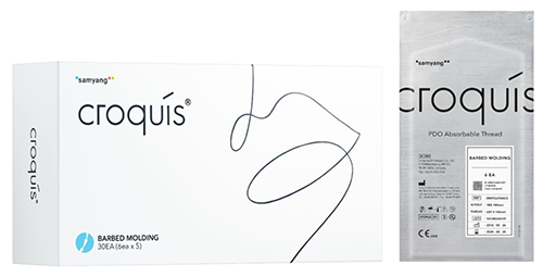 クロッキー（Croquis）