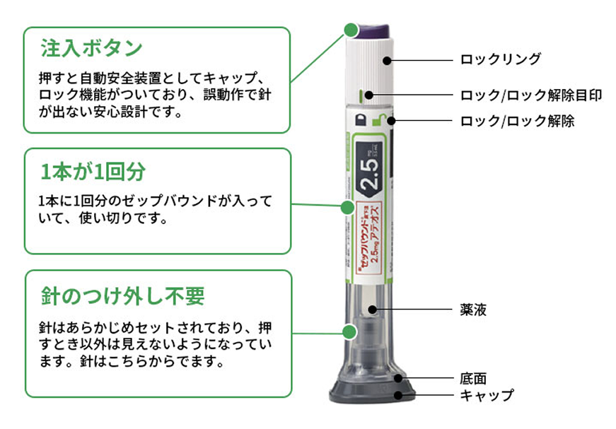 ゼップバウンド
