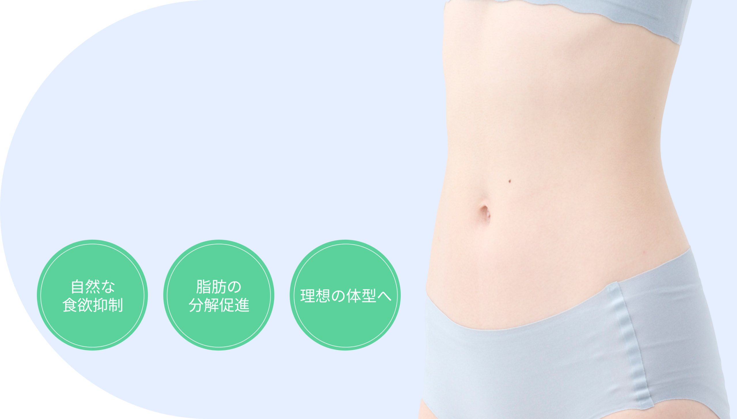 肥満症治療薬ゼップバウンド